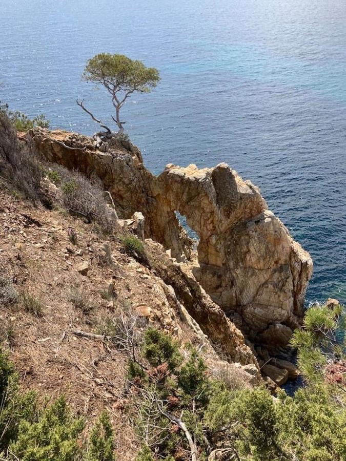 Atelierchic Bed & Breakfast Le Lavandou Exterior photo
